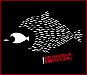 organisation_dsi_marketing